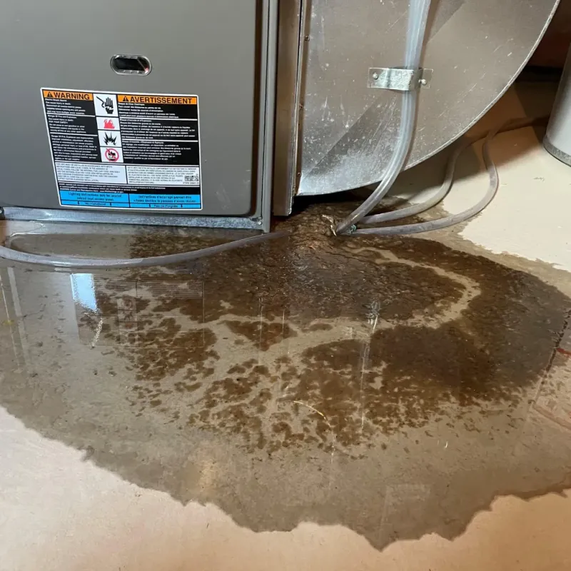 Appliance Leak Cleanup in Hedwig Village, TX